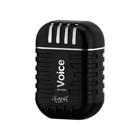 Voice