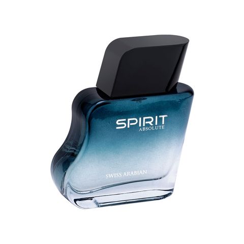 Spirit Absolute