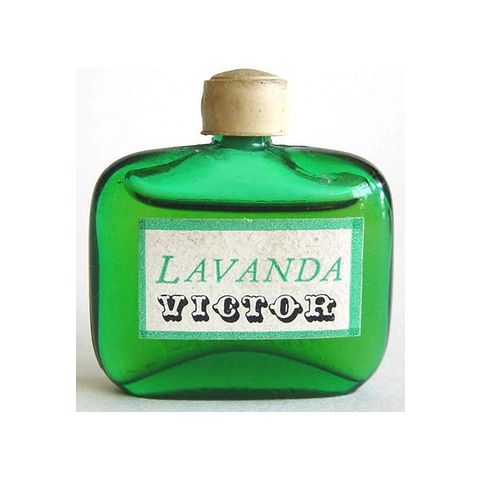 Lavanda