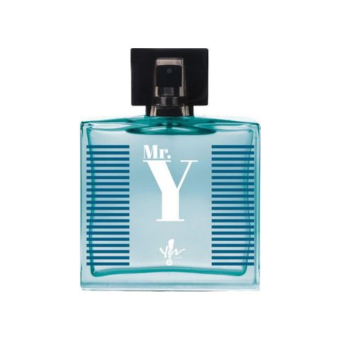 Mr. Y