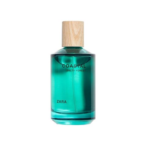 Coastal Salty Forest