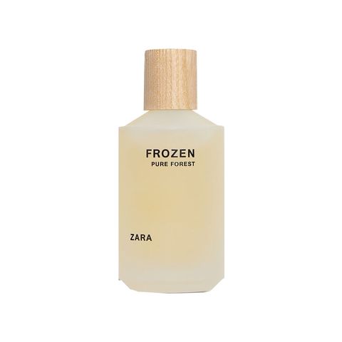 Frozen Pure Forest