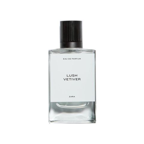 Lush Vetiver