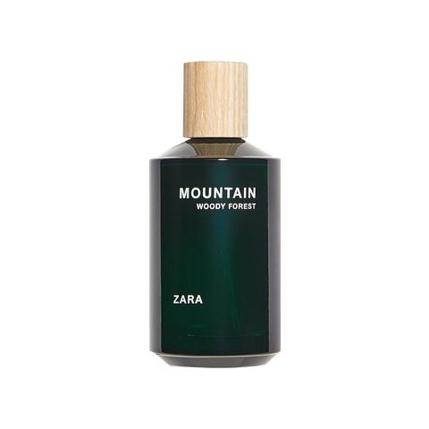 Mountain Woody Forest