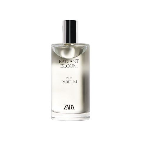 Radiant Bloom