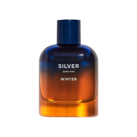 Silver Winter Zara Man