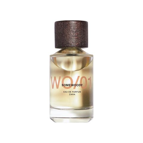 WO/01 Somewoody