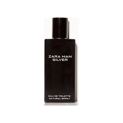 Zara Man Silver