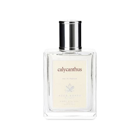 Calycanthus