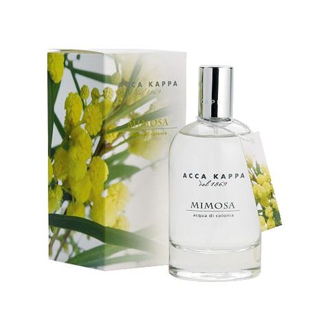 Mimosa