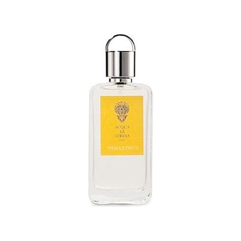 Osmanthus