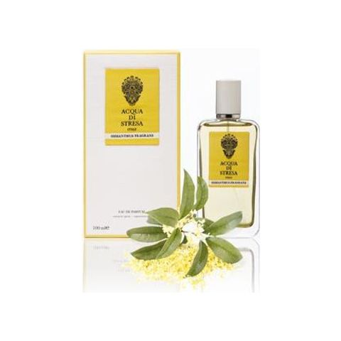 Osmanthus Fragrans