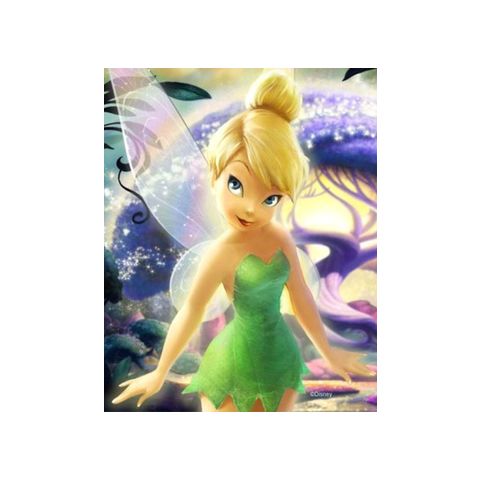 Disney Fairies