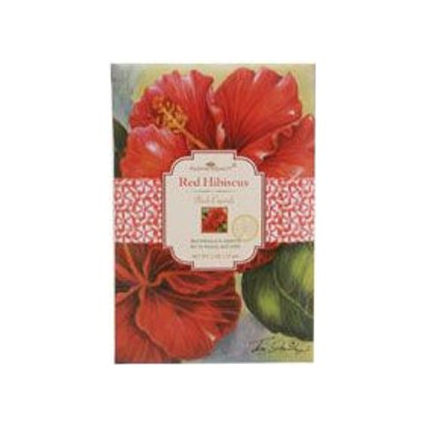 Red Hibiscus