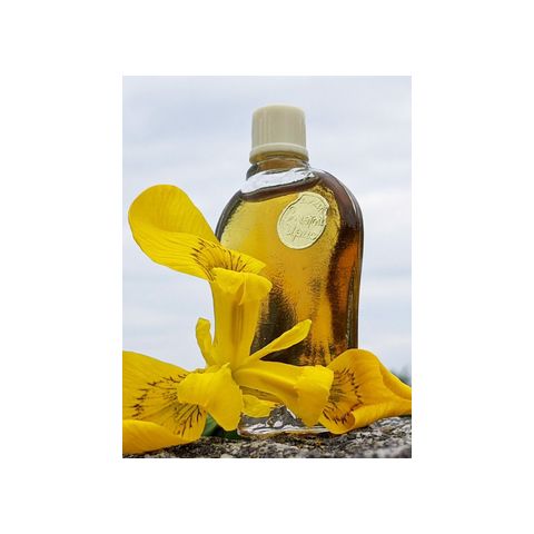 Золотой ирис - Golden iris