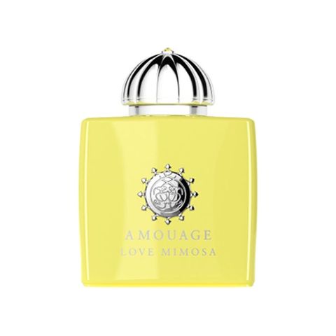 Love Mimosa