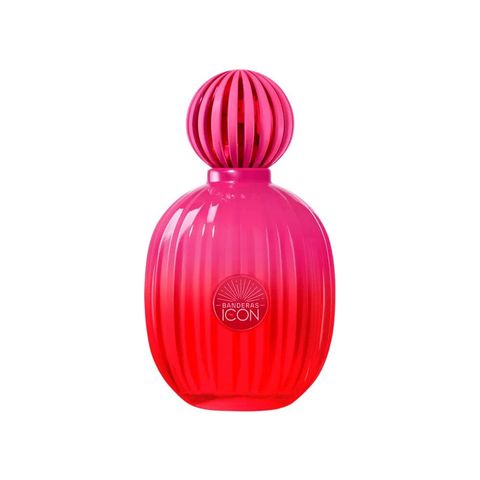 The Icon Supreme for Women