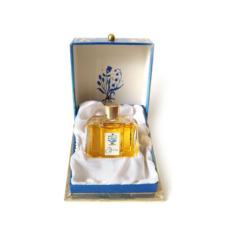 Modry Iris