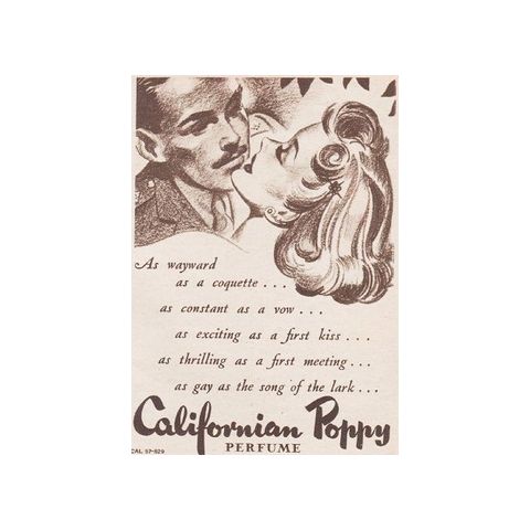 California Poppy