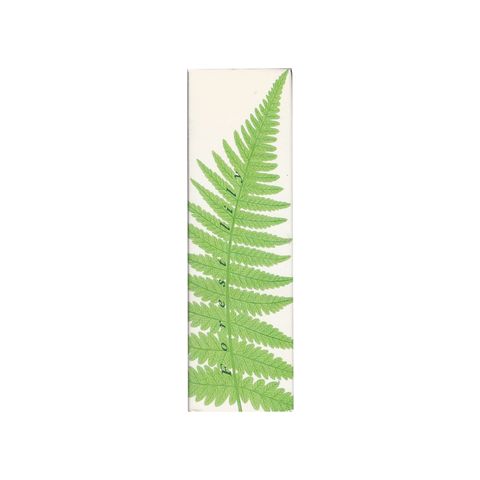 Forest Lily