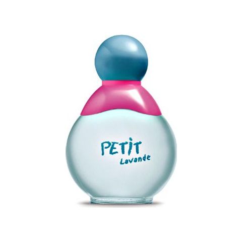 Petit Lavande