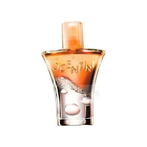 Scentini Citrus Chill