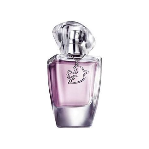 Today Tomorrow Always Romantic Voyage