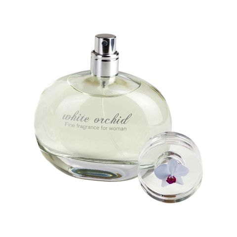 White Orchid