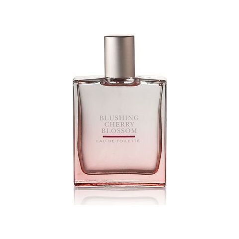 Blushing Cherry Blossom