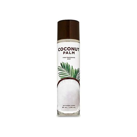 Coconut Palm