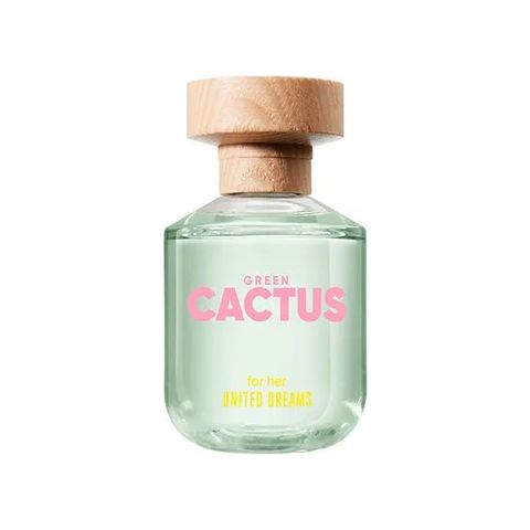 United Dreams Green Cactus For Her