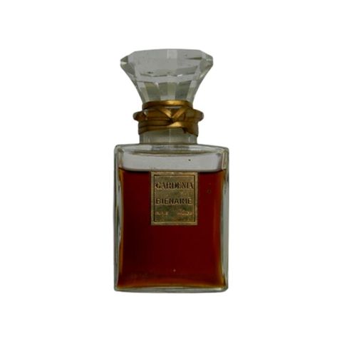 Gardénia