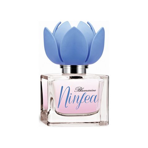 Ninfea