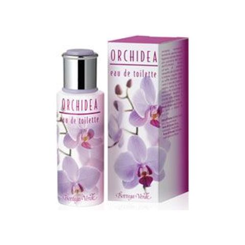 Orchidea