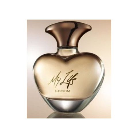 Mary J. Blige My Life Blossom