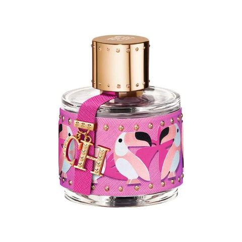 CH Birds Of Paradise For Her