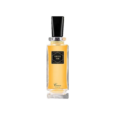 Narcisse Noir
