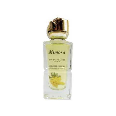 Mimosa