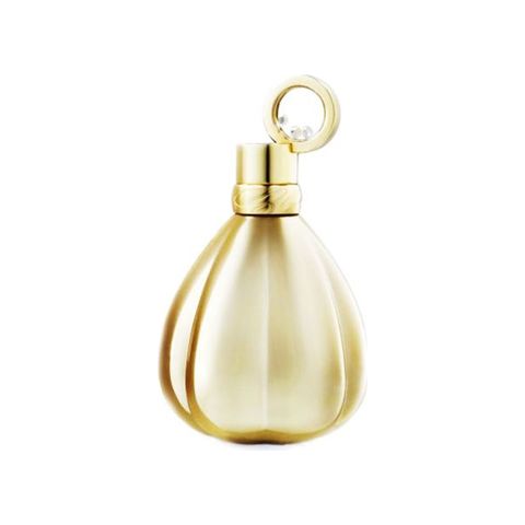 Enchanted Golden Absolute