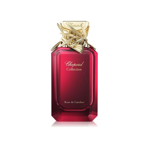 Rose de Caroline