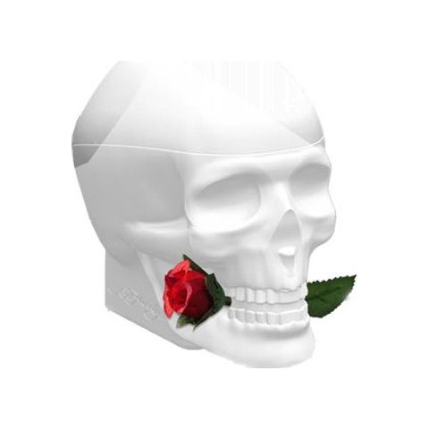 Ed Hardy Skulls & Roses for Her