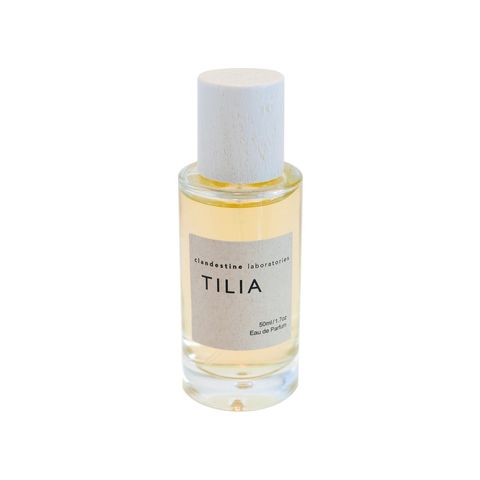 Tilia