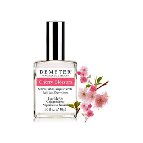Cherry Blossom