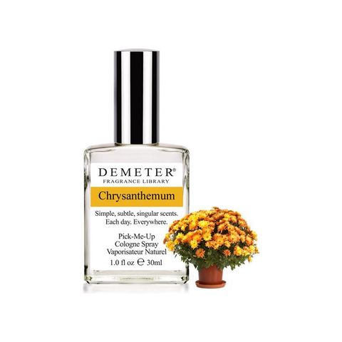 Chrysanthemum