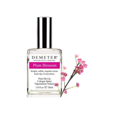 Plum Blossom