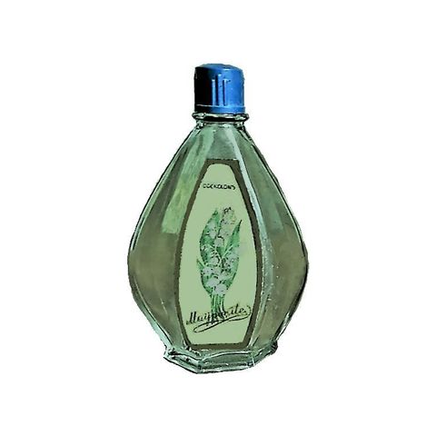 Maijpuķīte (Майский ландыш)