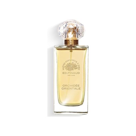 Orchidée Orientale