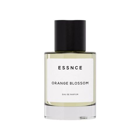 Orange Blossom