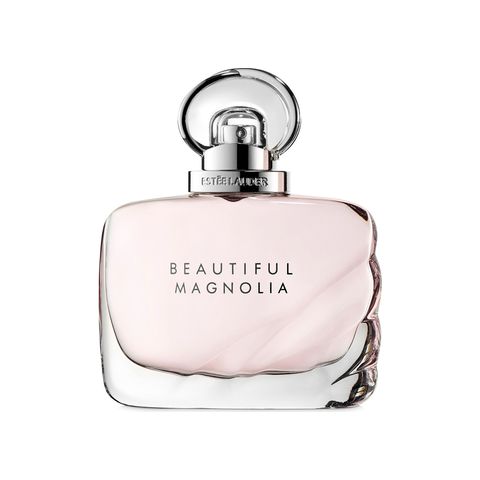 Beautiful Magnolia