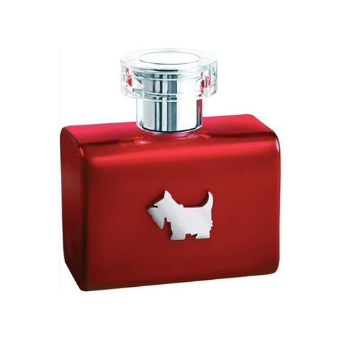Terrier Red